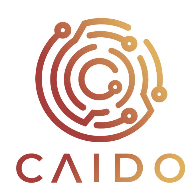 Caido logo